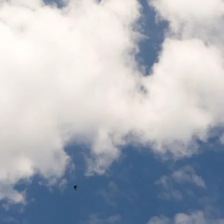 Bed & Breakfast Dimora Nova Gallipoli