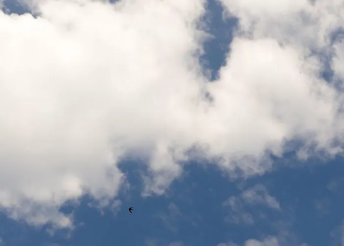 Bed & Breakfast Dimora Nova Gallipoli